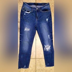 Judy Blue Skinny Jeans